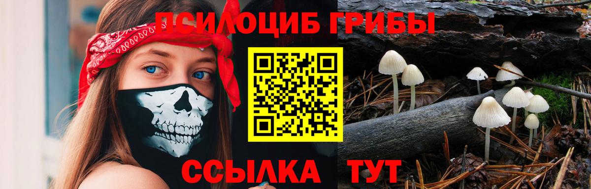 Галлюциногенные грибы мухоморы  Галлюциногенные грибы Cubensis  Вход с VPN  Переславль-Залесский 
